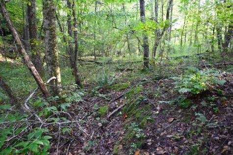 1 Deep Hollow Drive Kingwood WV 26537