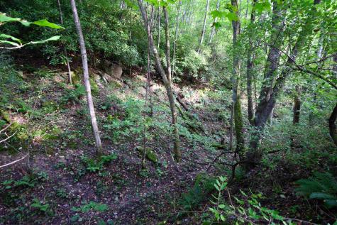 1 Deep Hollow Drive Kingwood WV 26537