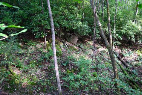 1 Deep Hollow Drive Kingwood WV 26537