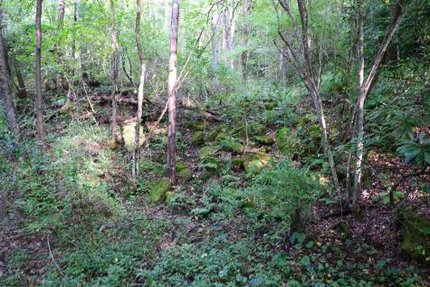 1 Deep Hollow Drive Kingwood WV 26537