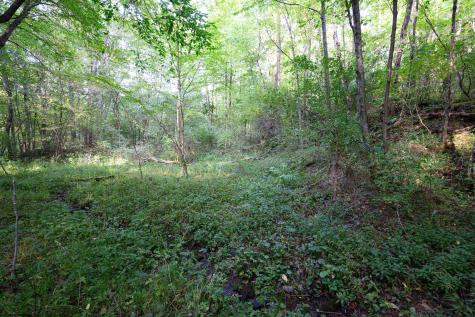 1 Deep Hollow Drive Kingwood WV 26537