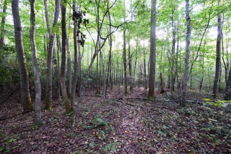 1 Deep Hollow Drive Kingwood WV 26537