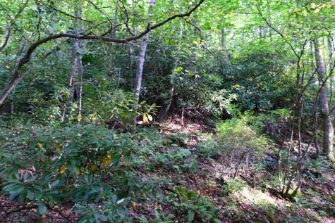 1 Deep Hollow Drive Kingwood WV 26537