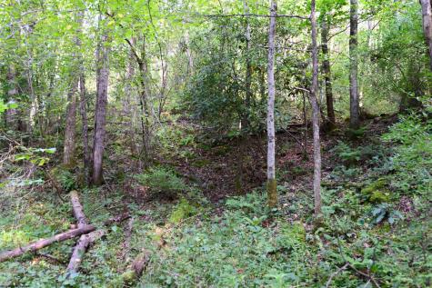 1 Deep Hollow Drive Kingwood WV 26537