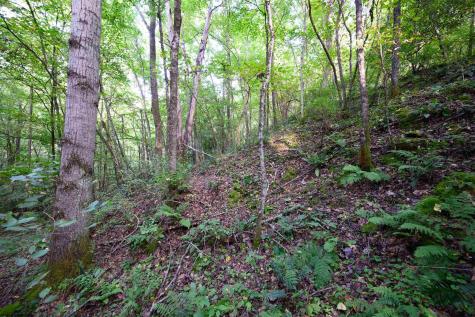 1 Deep Hollow Drive Kingwood WV 26537