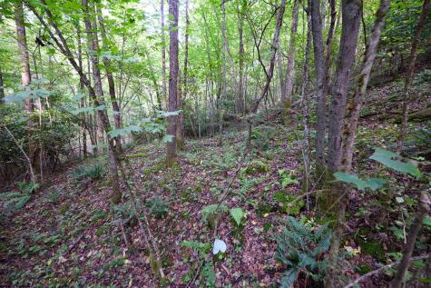 1 Deep Hollow Drive Kingwood WV 26537