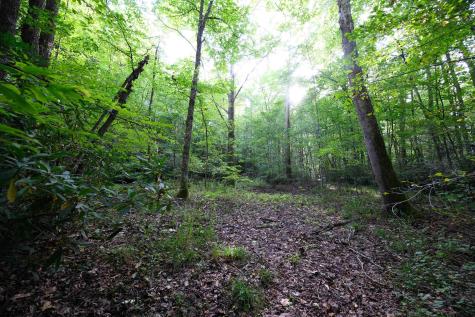 1 Deep Hollow Drive Kingwood WV 26537