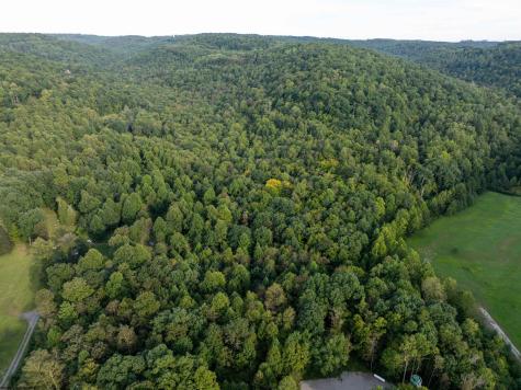 1 Deep Hollow Drive Kingwood WV 26537