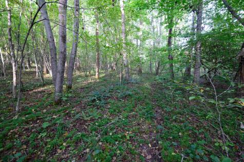 1 Deep Hollow Drive Kingwood WV 26537