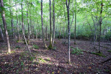 1 Deep Hollow Drive Kingwood WV 26537