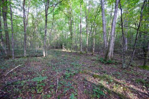 1 Deep Hollow Drive Kingwood WV 26537