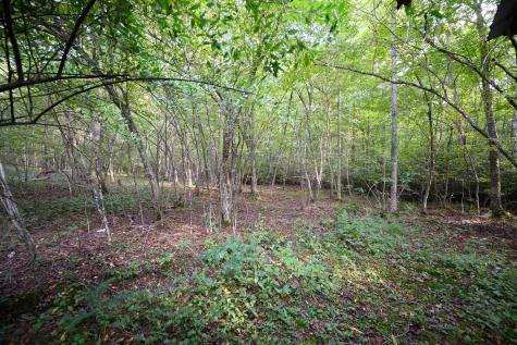 1 Deep Hollow Drive Kingwood WV 26537