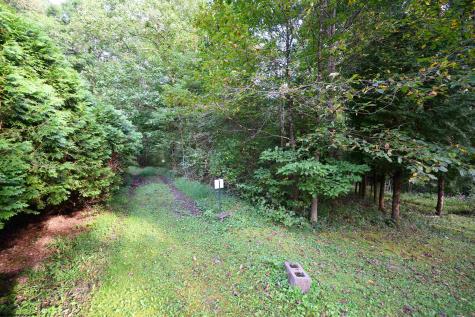 1 Deep Hollow Drive Kingwood WV 26537