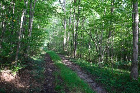 1 Deep Hollow Drive Kingwood WV 26537