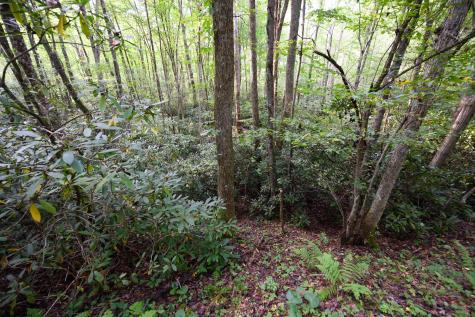 1 Deep Hollow Drive Kingwood WV 26537