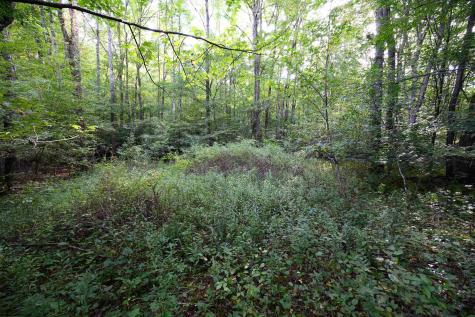 1 Deep Hollow Drive Kingwood WV 26537