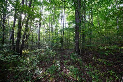 1 Deep Hollow Drive Kingwood WV 26537