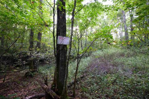 1 Deep Hollow Drive Kingwood WV 26537
