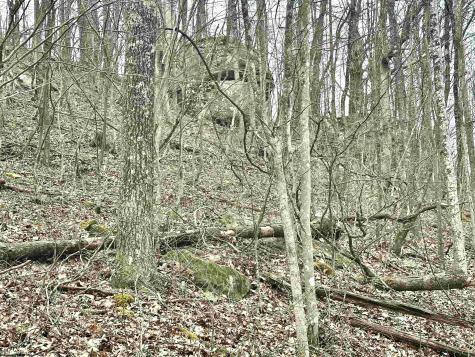 496 Dillon Hollow Road Jane Lew WV 26378