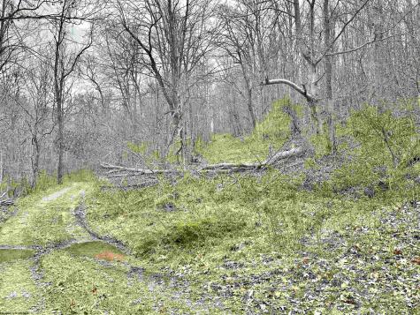 496 Dillon Hollow Road Jane Lew WV 26378