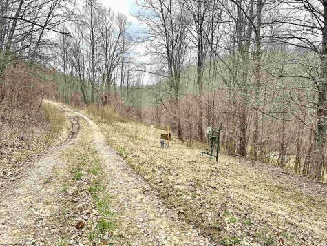 496 Dillon Hollow Road Jane Lew WV 26378