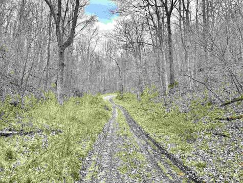 496 Dillon Hollow Road Jane Lew WV 26378