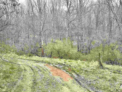 496 Dillon Hollow Road Jane Lew WV 26378