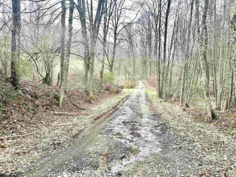 496 Dillon Hollow Road Jane Lew WV 26378