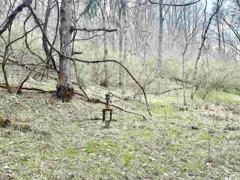 496 Dillon Hollow Road Jane Lew WV 26378