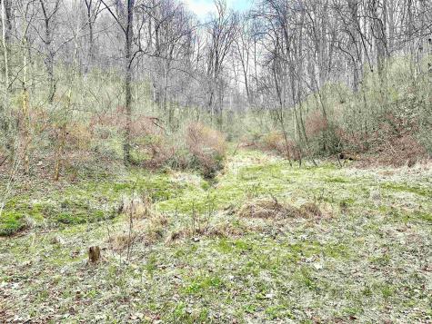 496 Dillon Hollow Road Jane Lew WV 26378
