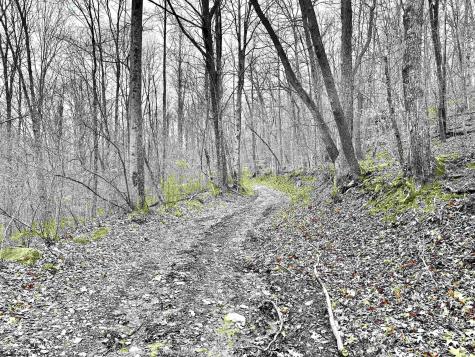 496 Dillon Hollow Road Jane Lew WV 26378