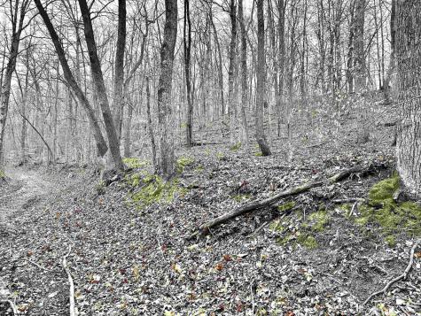 496 Dillon Hollow Road Jane Lew WV 26378