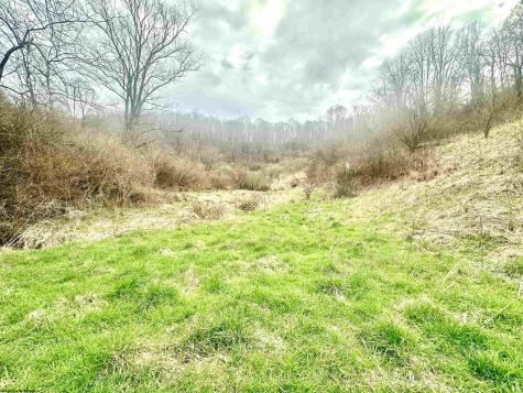 496 Dillon Hollow Road Jane Lew WV 26378