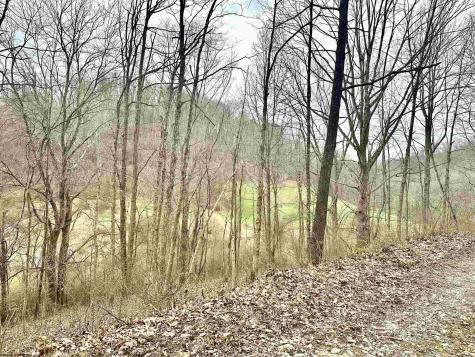 496 Dillon Hollow Road Jane Lew WV 26378
