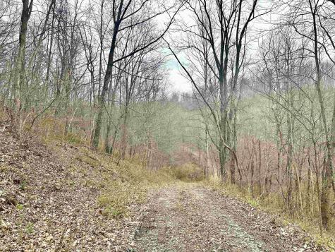 496 Dillon Hollow Road Jane Lew WV 26378