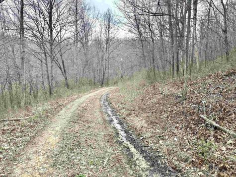 496 Dillon Hollow Road Jane Lew WV 26378