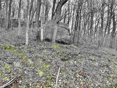 496 Dillon Hollow Road Jane Lew WV 26378