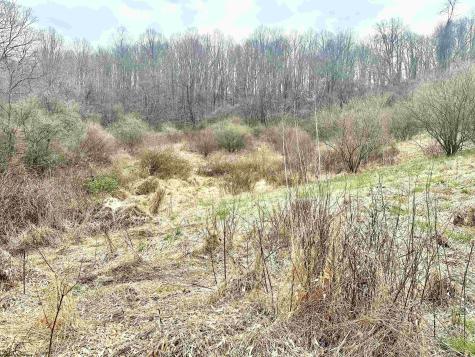 496 Dillon Hollow Road Jane Lew WV 26378