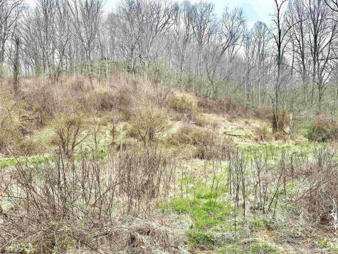 496 Dillon Hollow Road Jane Lew WV 26378