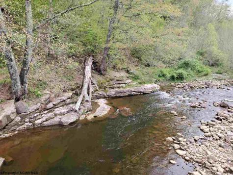 0 Dolly Lane Dryfork WV 26263