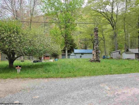 0 Dolly Lane Dryfork WV 26263