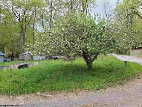 0 Dolly Lane Dryfork WV 26263