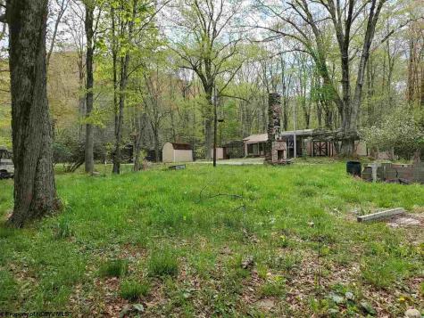 0 Dolly Lane Dryfork WV 26263