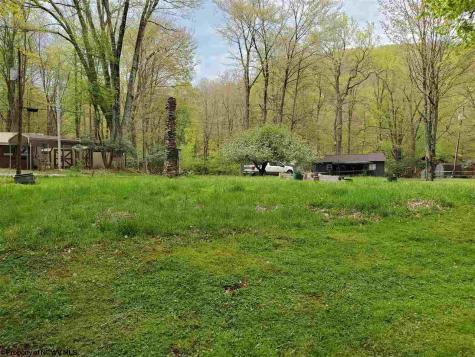0 Dolly Lane Dryfork WV 26263