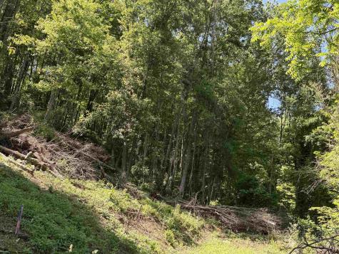 0 Sandy Drive Grafton WV 26354