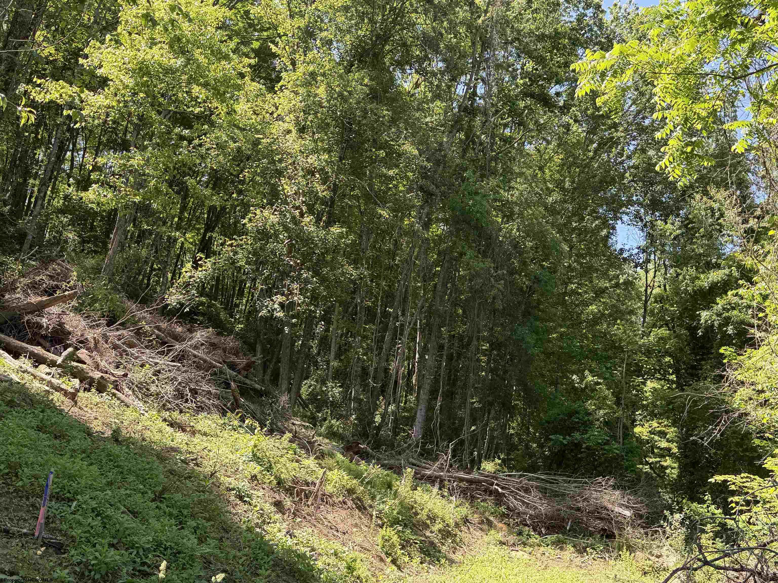 0 Sandy Drive Grafton WV 26354