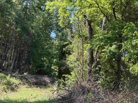 0 Sandy Drive Grafton WV 26354