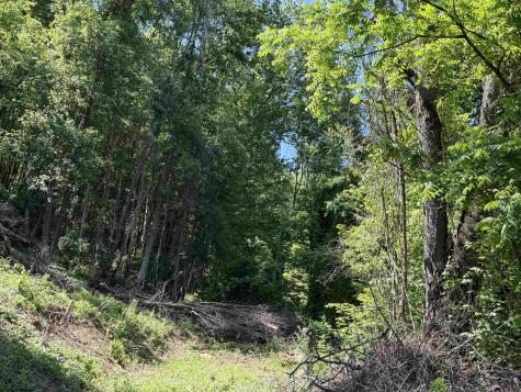 0 Sandy Drive Grafton WV 26354
