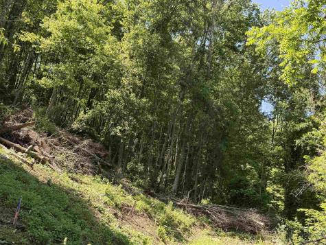 0 Sandy Drive Grafton WV 26354