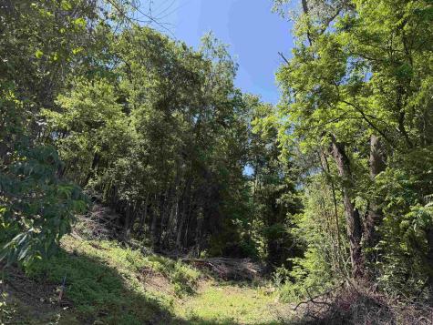 0 Sandy Drive Grafton WV 26354